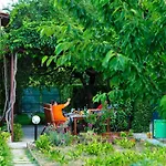 Green Garden *