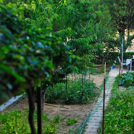 Apartment Green Garden Split